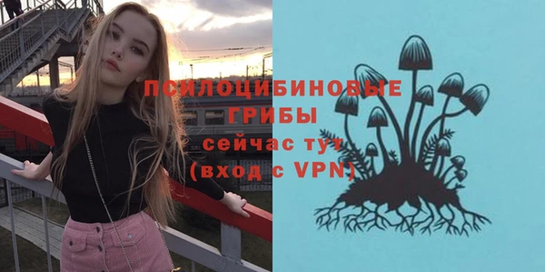 прущие грибы Белоозёрский
