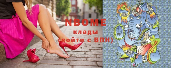 прущие грибы Белоозёрский