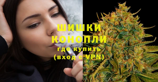 прущие грибы Белоозёрский