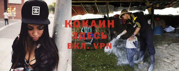 прущие грибы Белоозёрский