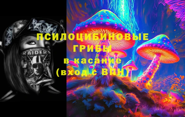 прущие грибы Белоозёрский