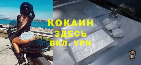 прущие грибы Белоозёрский