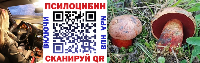 Галлюциногенные грибы Psilocybine cubensis  купить закладку  Кодинск 