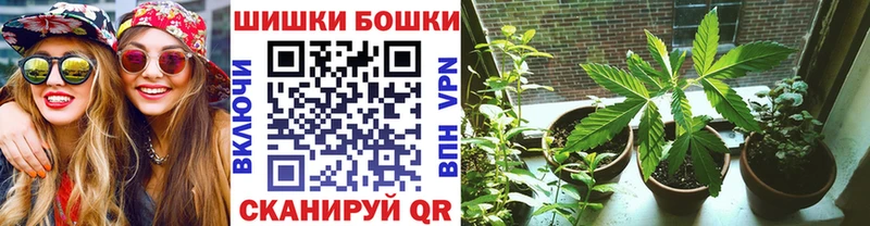 Бошки Шишки SATIVA & INDICA  кракен маркетплейс  Кодинск 